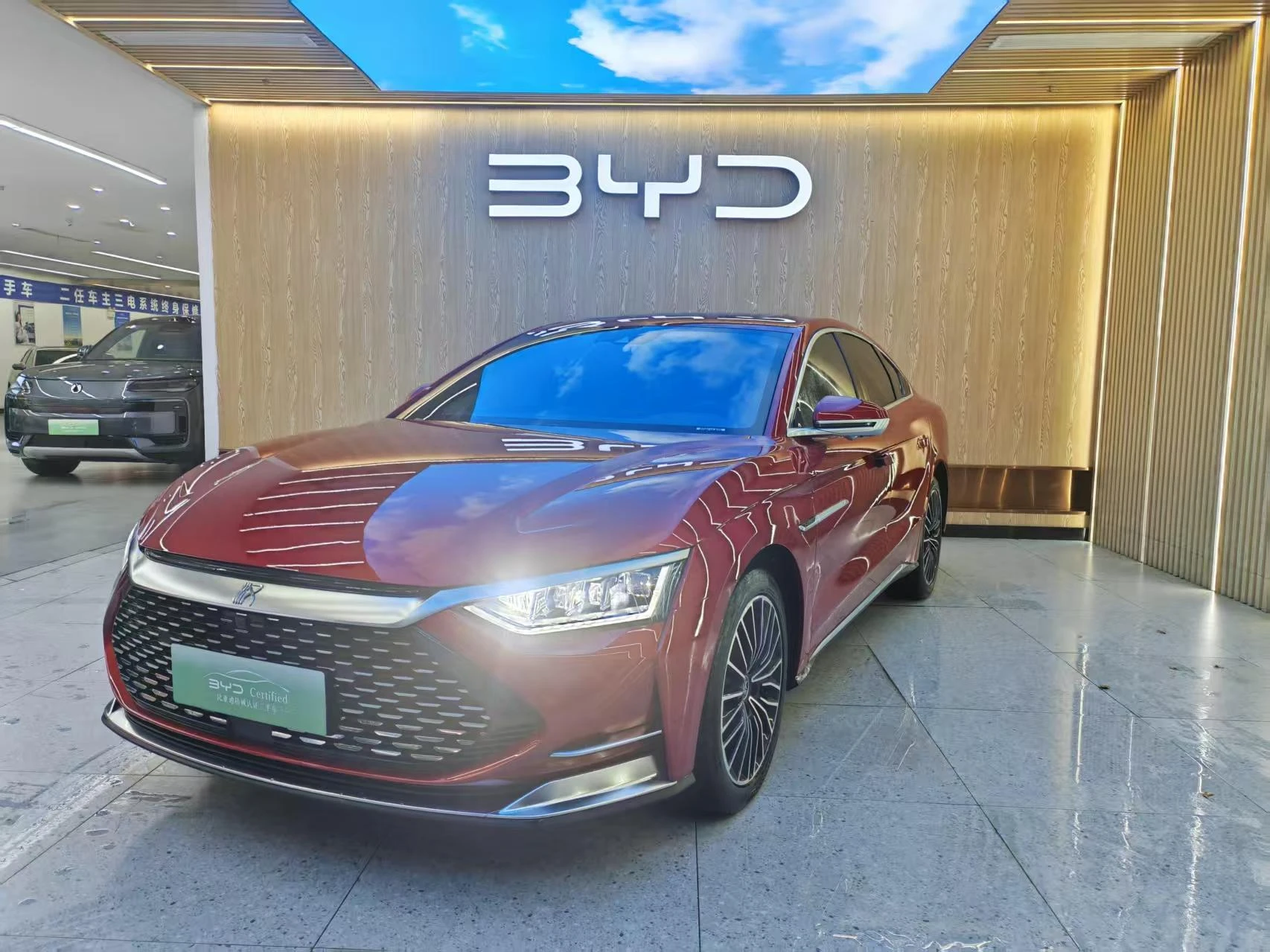 BYD Chinese DM