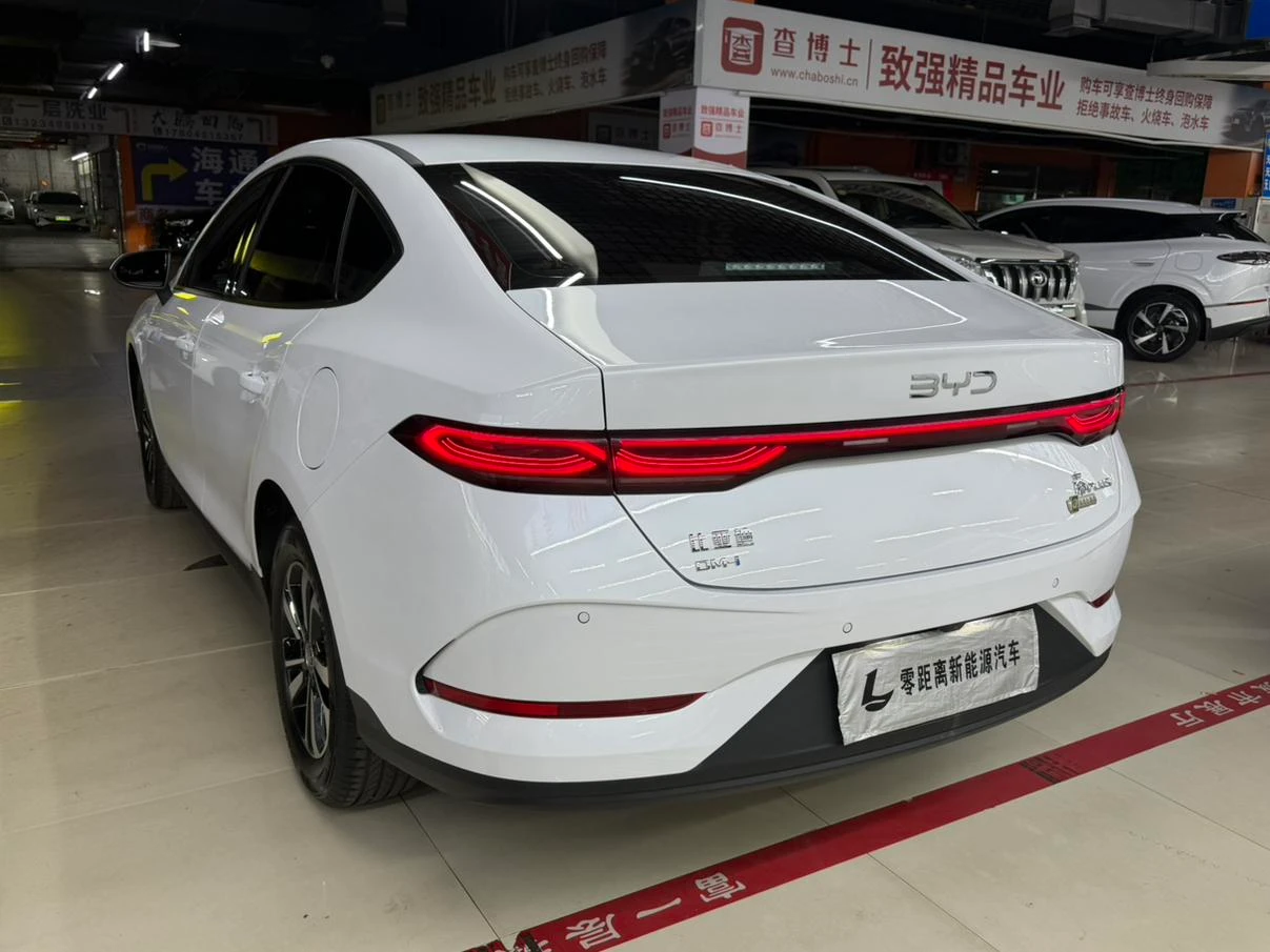 BYD Qin PLUS DM, 2026 — фото 4