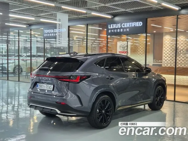 Lexus Nx Nx450h+, 2025 — фото 2