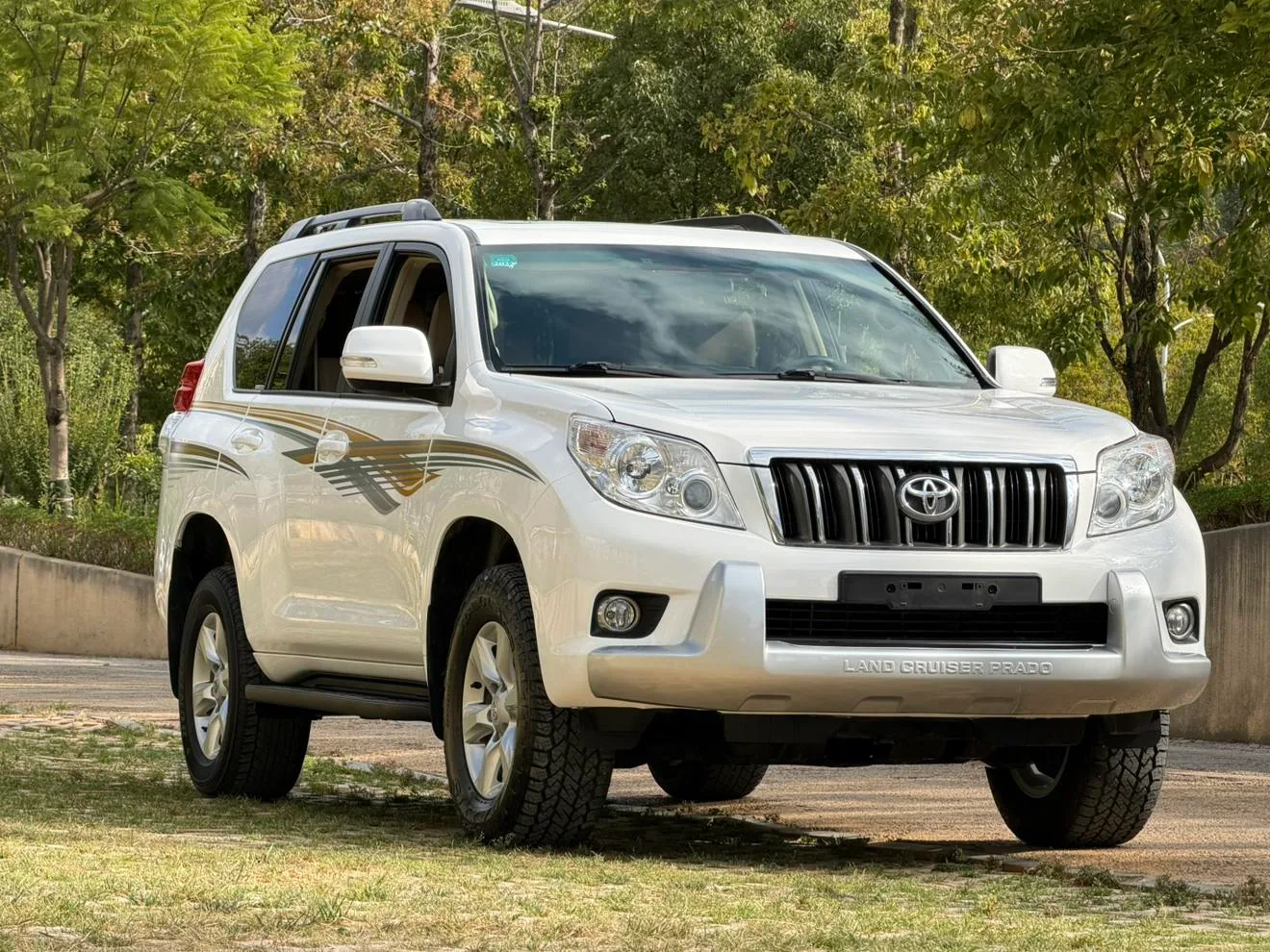 Toyota prado, 2010 — фото 2