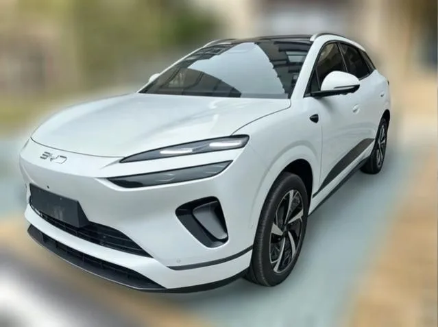 BYD Sea Lion 06DM