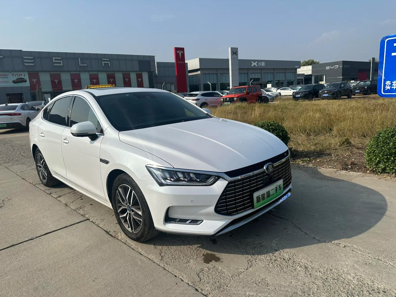 BYD Qin Pro EV, 2019 — фото 3