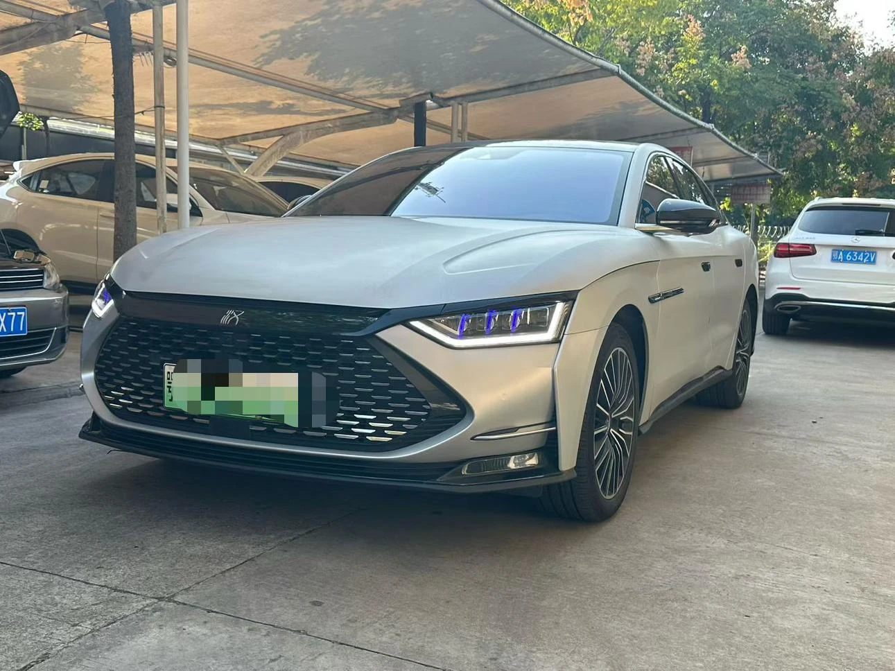 BYD Chinese DM