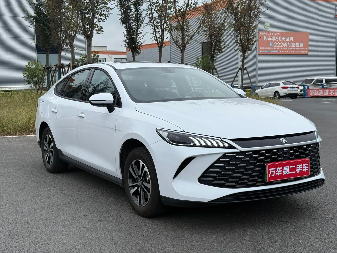 BYD Qin PLUS DM, 2026 — фото 3