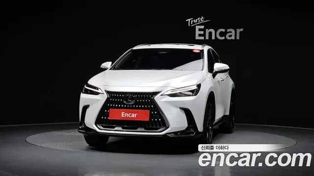 Lexus Nx NX350H, 2025 — фото 3
