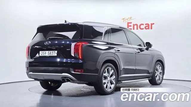 Hyundai Palisade, 2019 — фото 2