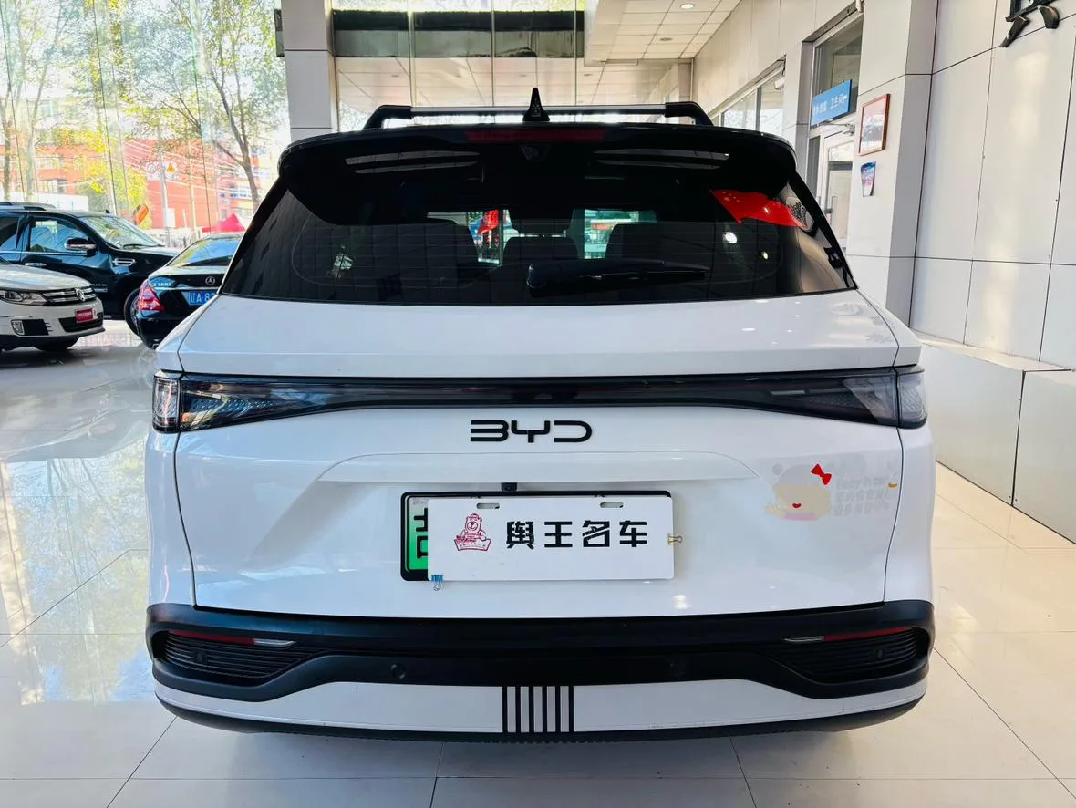 BYD Sea Lion 05DM, 2025 — фото 6