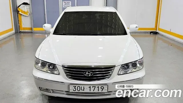 Hyundai Grandeur New Luxury, 2009 — фото 2