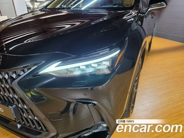 Lexus Nx NX350H, 2026 — фото 17
