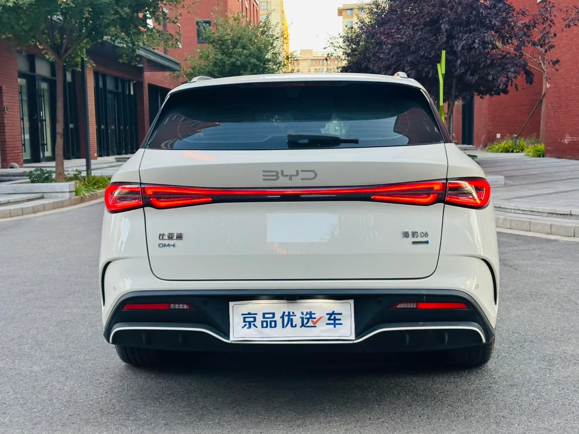 BYD Seal 06DM travel version, 2026 — фото 6