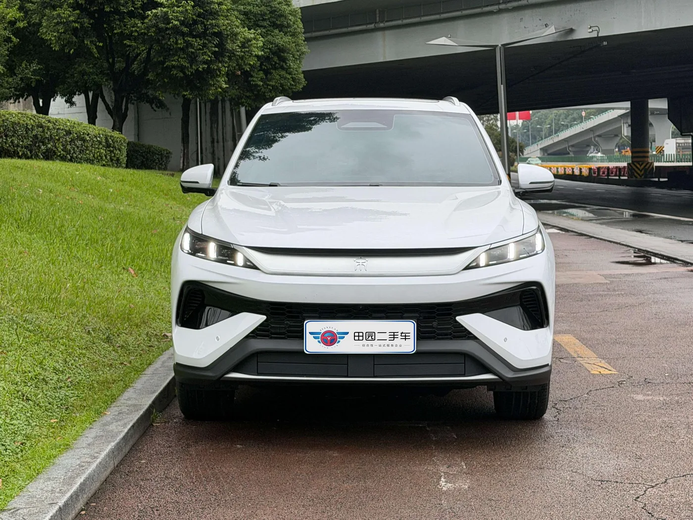 BYD Song Pro DM, 2026 — фото 2