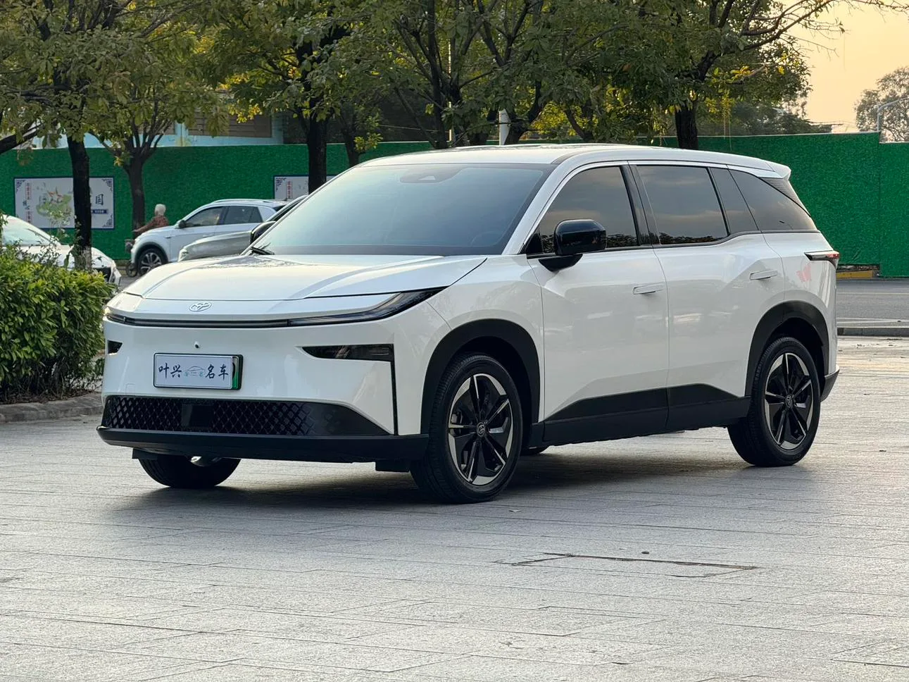 Toyota Platinum 3X