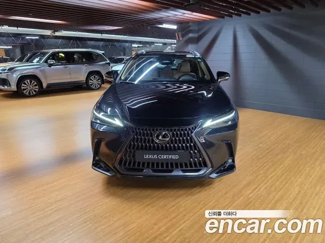 Lexus Nx NX350H, 2026 — фото 3