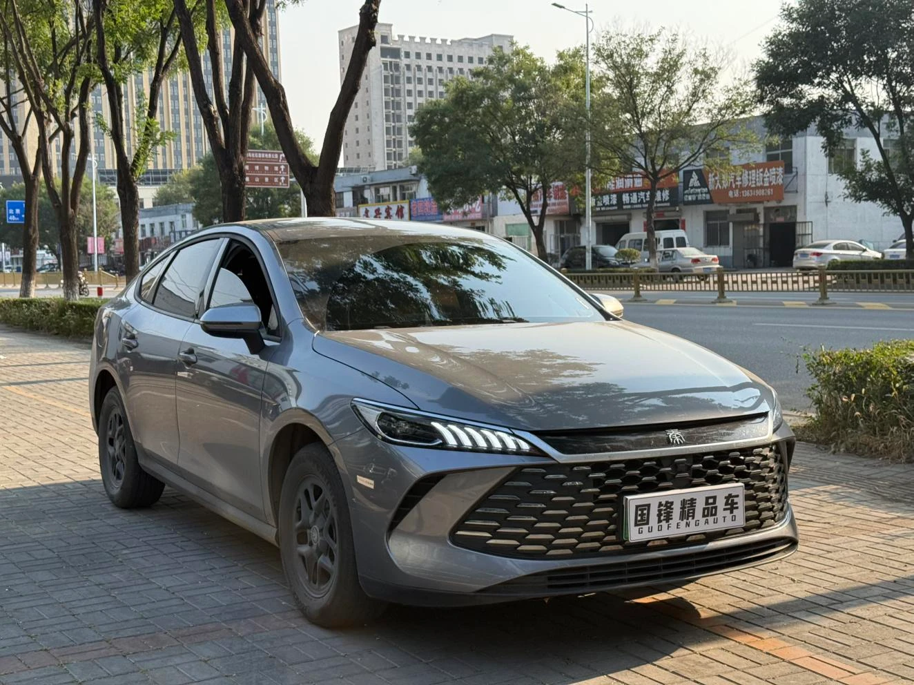 BYD Qin PLUS DM, 2026 — фото 3