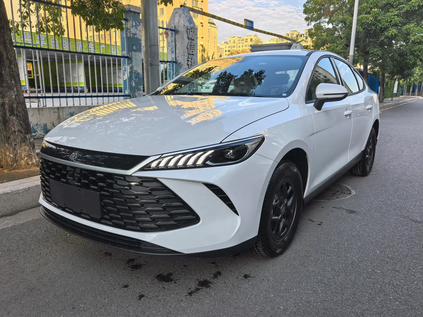 BYD Qin PLUS DM