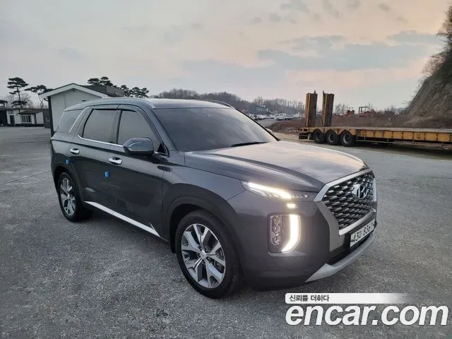 Hyundai Palisade, 2019 — фото 3