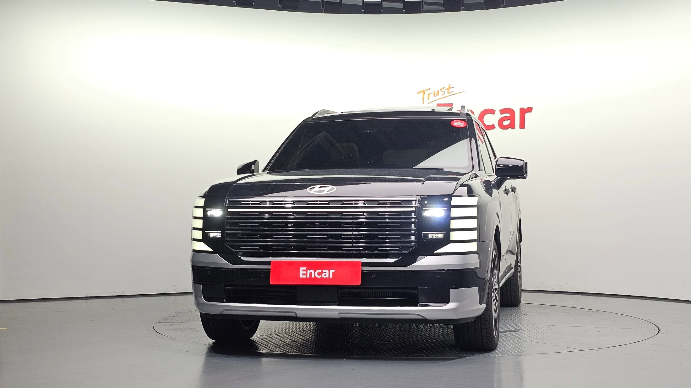 Hyundai Palisade LX3, 2025 — фото 3