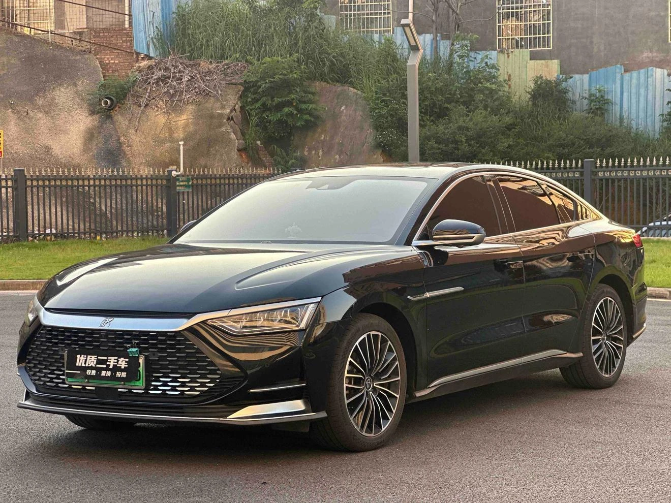 BYD Chinese DM