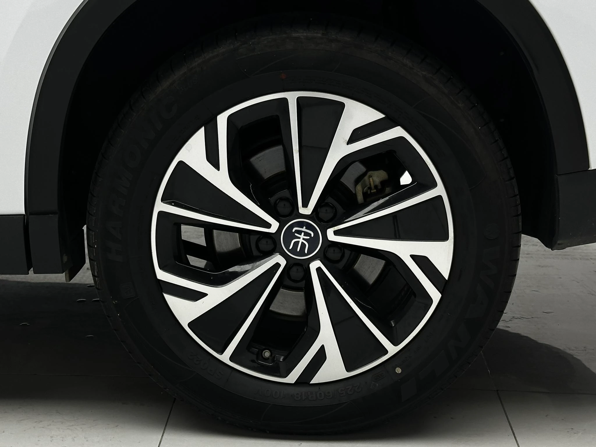 BYD Song Pro DM, 2025 — фото 16