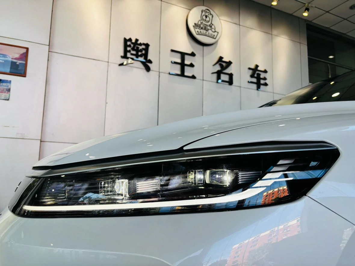 BYD Sea Lion 05DM, 2025 — фото 26