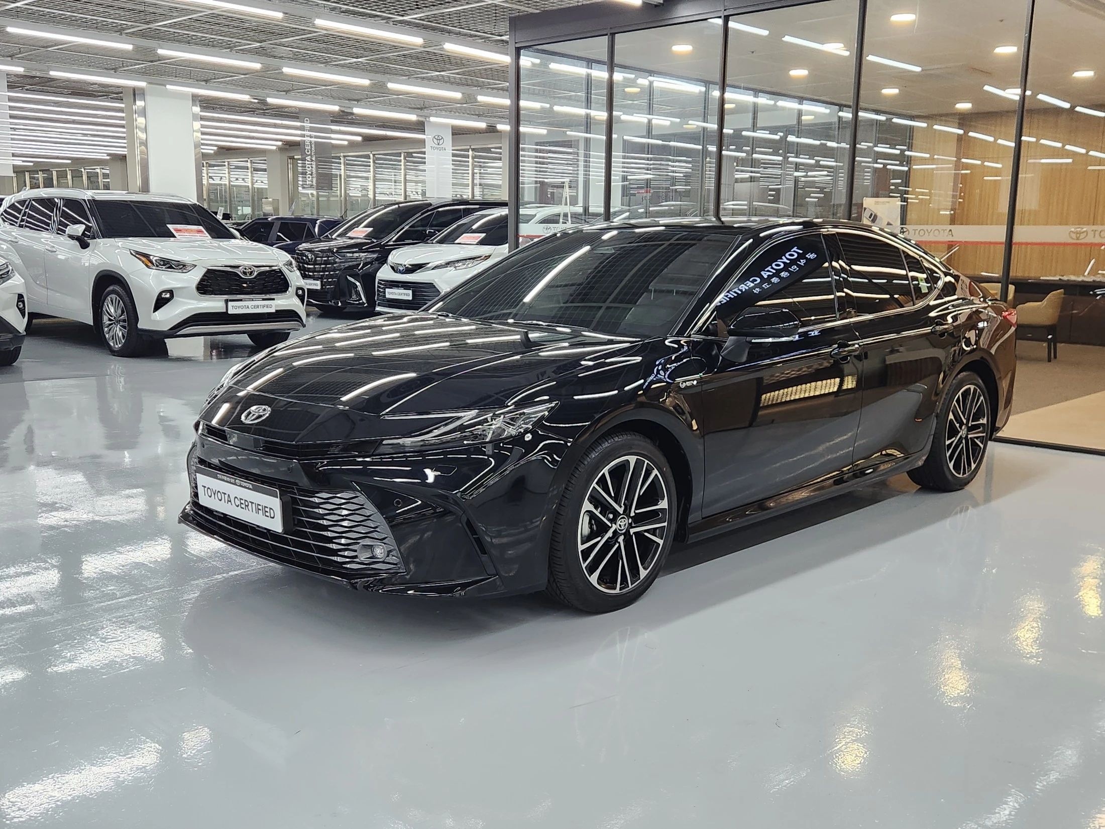 Toyota Camry xv80