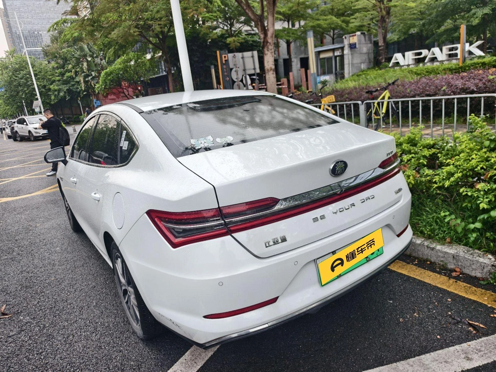 BYD Qin Pro DM, 2019 — фото 2