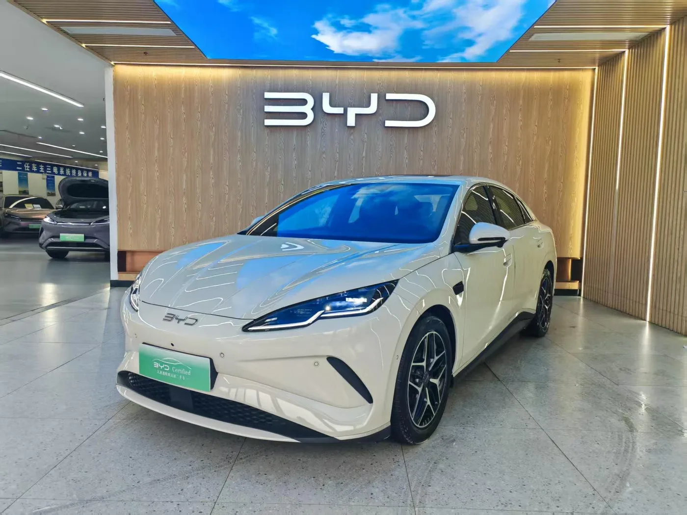 BYD Seal 06EV