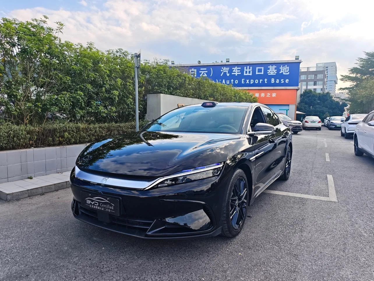 BYD Chinese DM