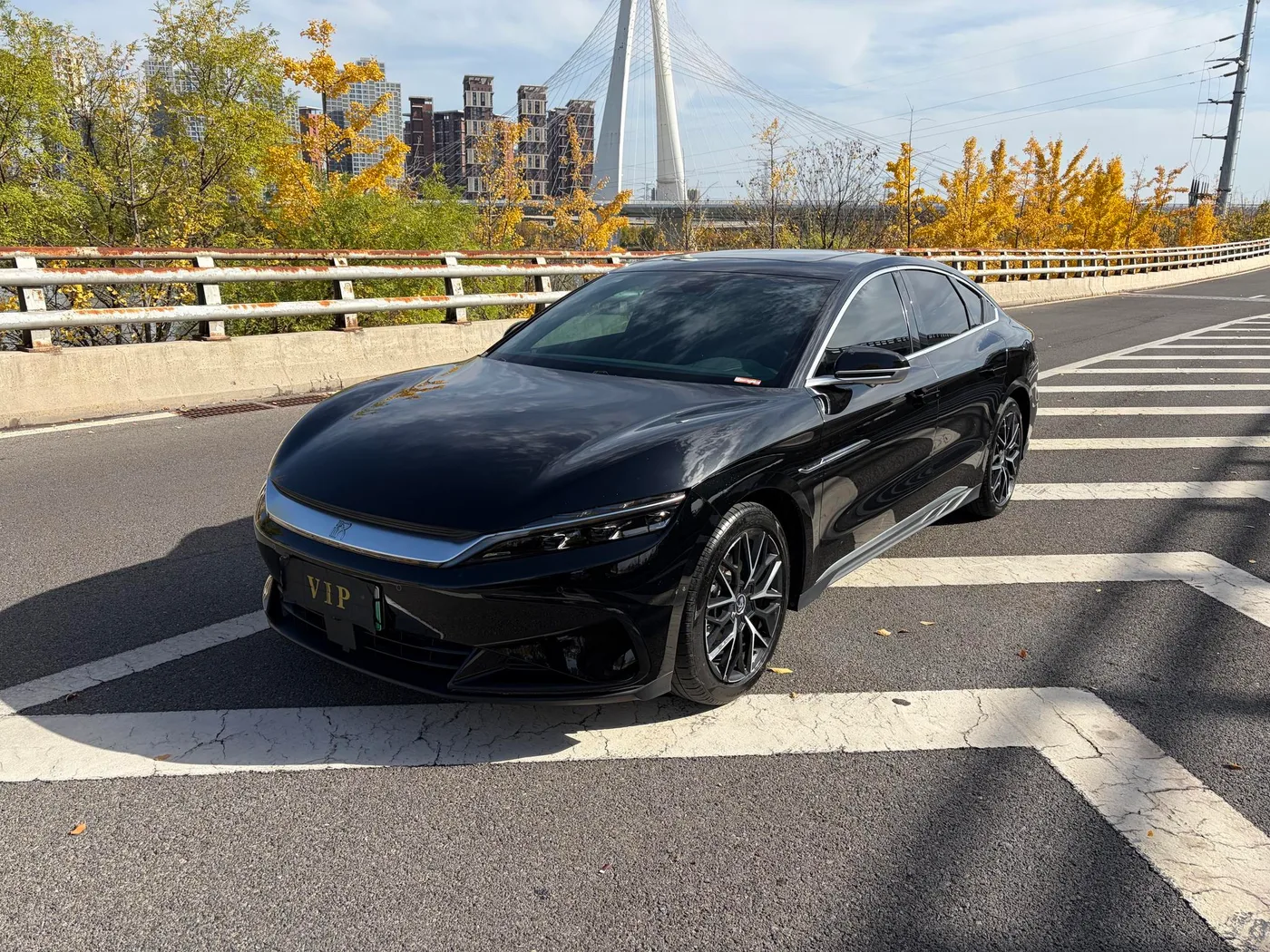 BYD Chinese DM