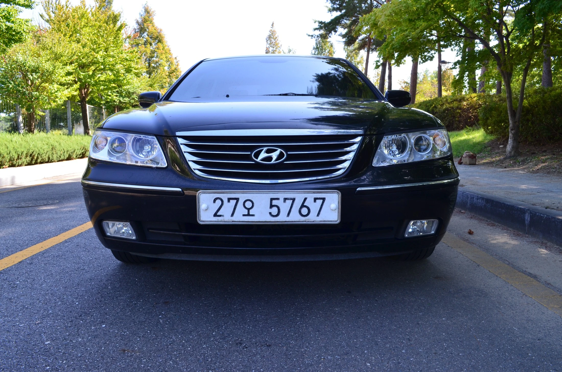 Hyundai Grandeur New Luxury, 2008 — фото 2