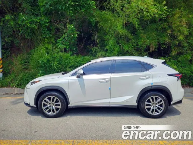Lexus Nx NX300h, 2016 — фото 3
