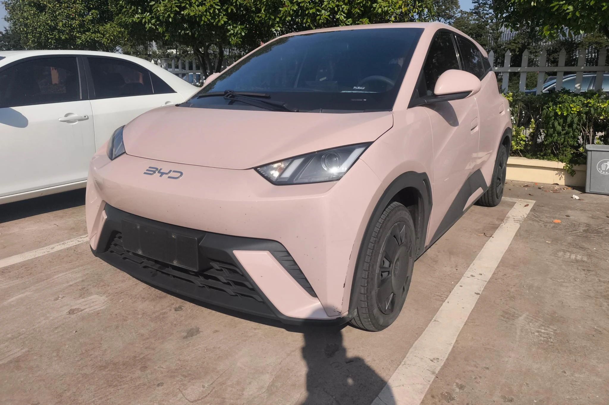 BYD seagull