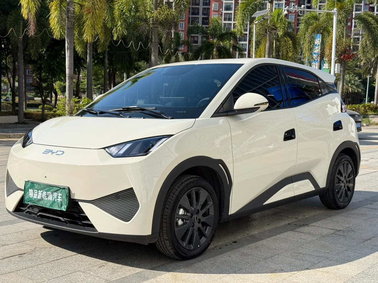 BYD seagull
