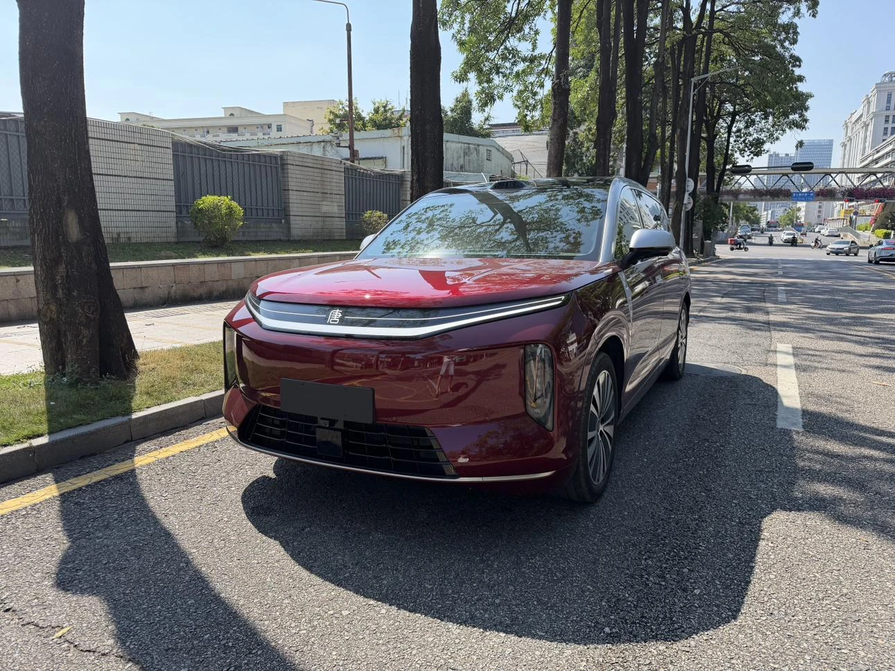 BYD Datang EV