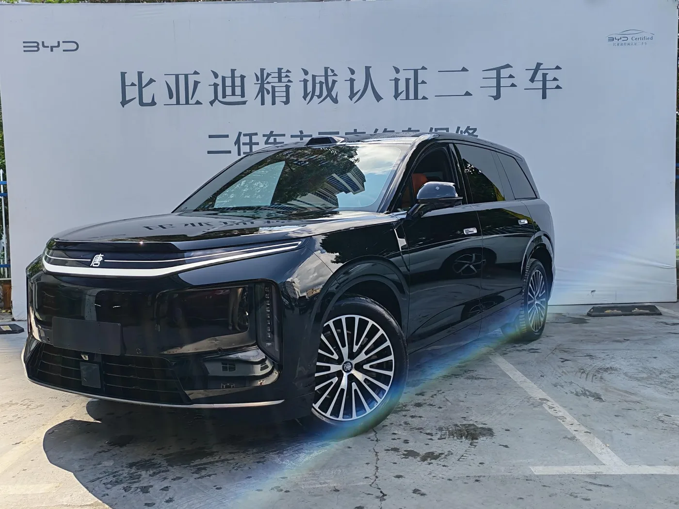 BYD Datang EV