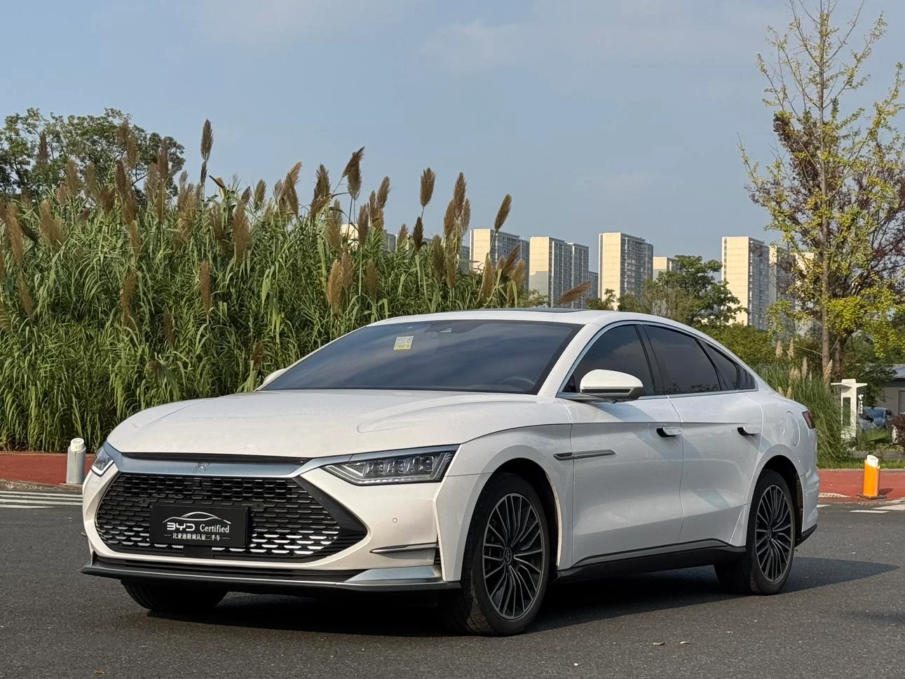 BYD Chinese DM