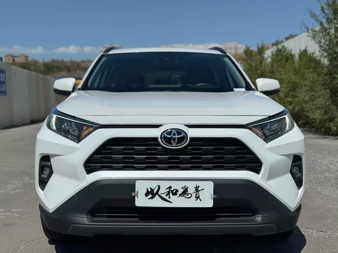 Toyota RAV4 Rongfang, 2023 — фото 2