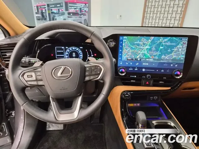 Lexus Nx NX350H, 2026 — фото 14