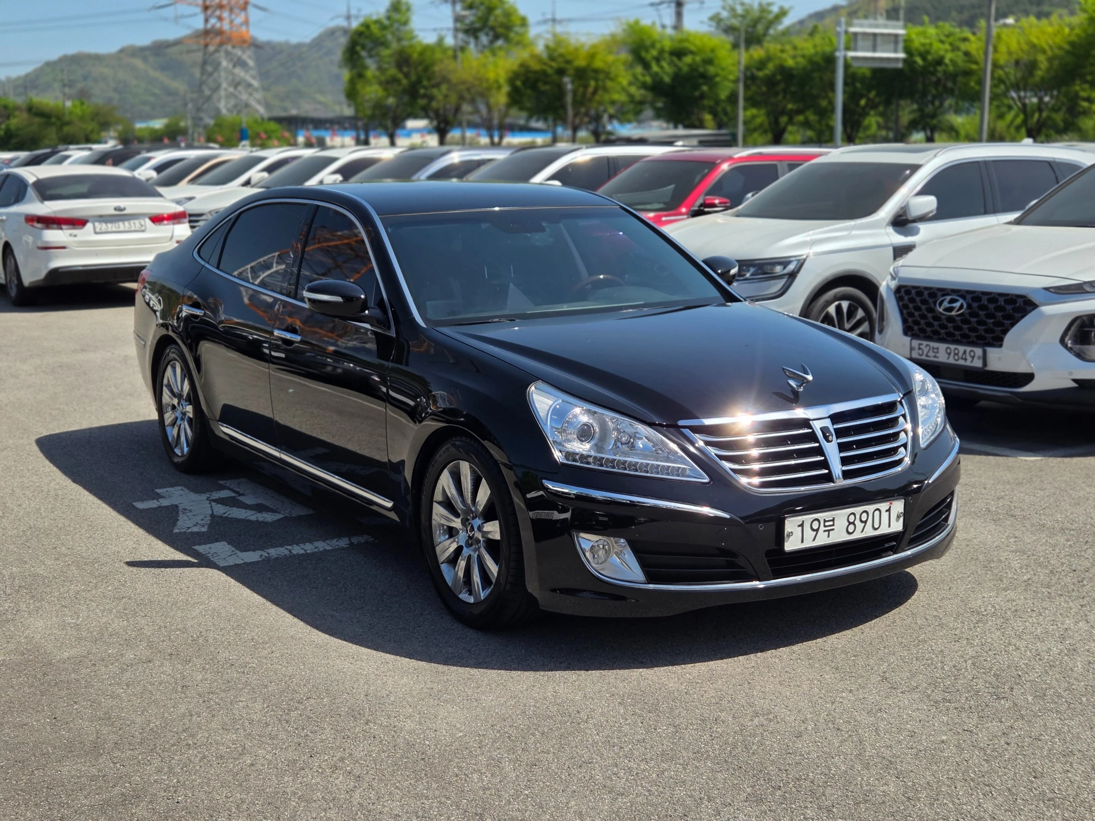 Hyundai Equus, 2012 — фото 5