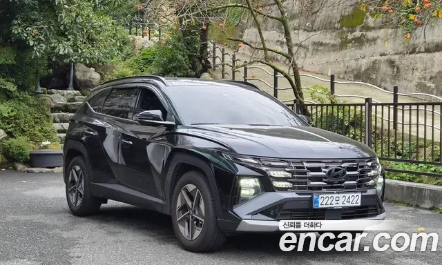 Hyundai Tucson NX4, 2024 — фото 2
