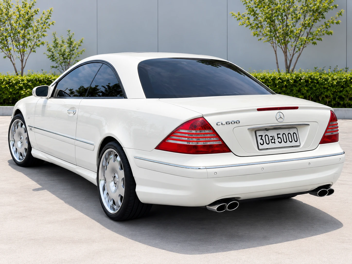 Mercedes-Benz Cl-Class C215, 2001 — фото 2
