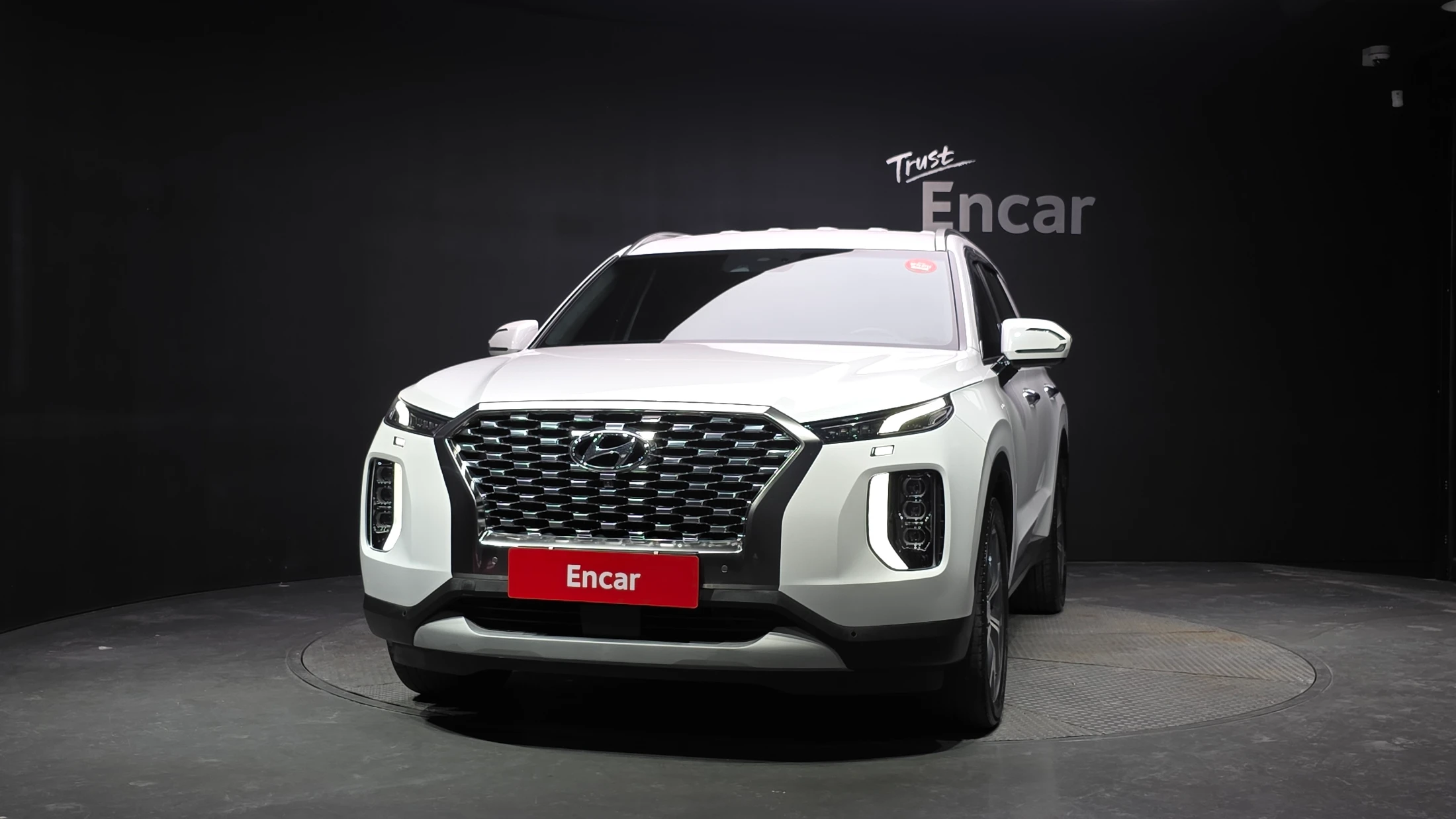 Hyundai Palisade, 2019 — фото 3