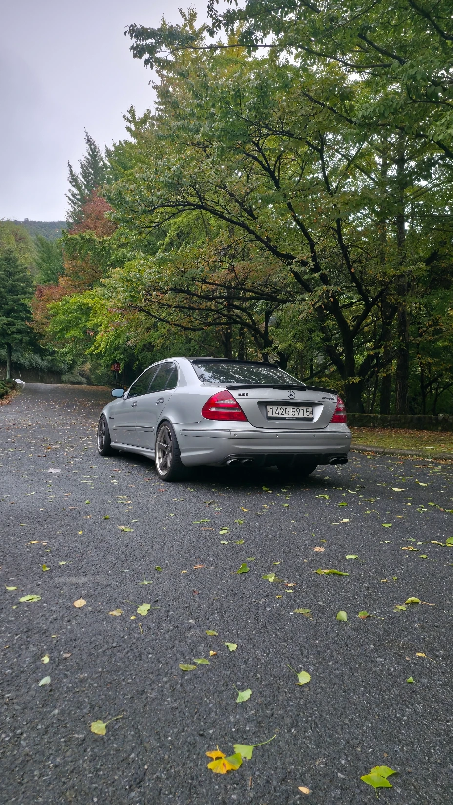 Mercedes-Benz E-Class W211, 2005 — фото 2