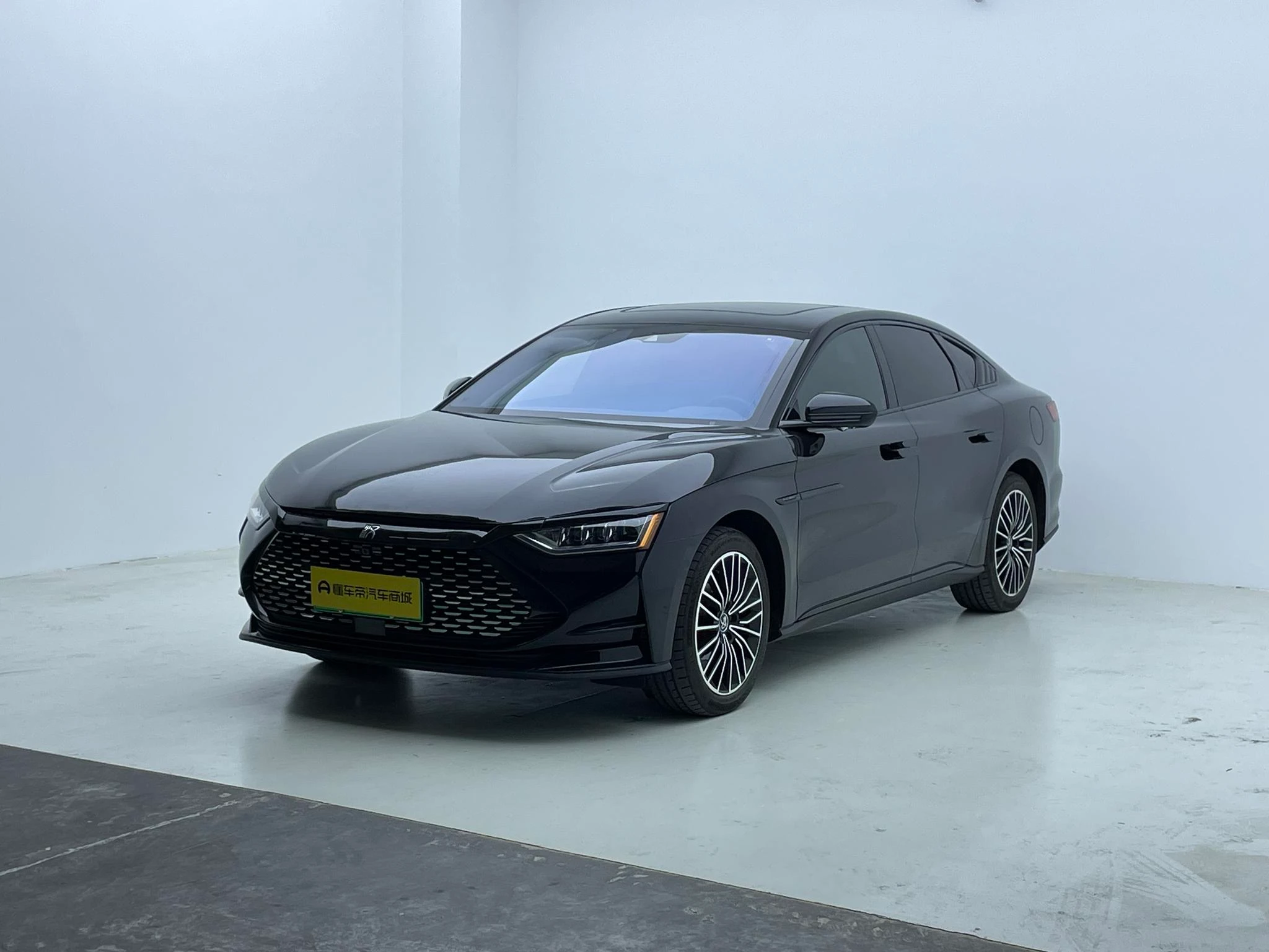 BYD Chinese DM