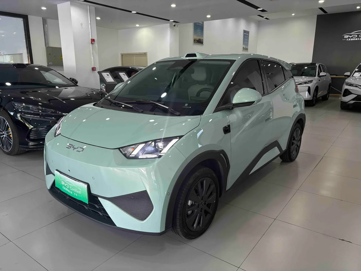 BYD seagull