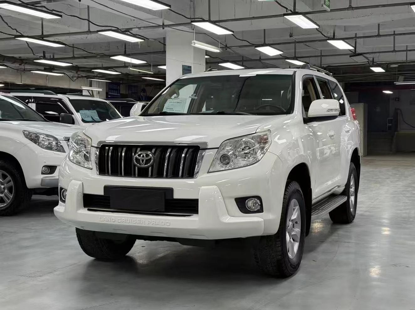 Toyota prado
