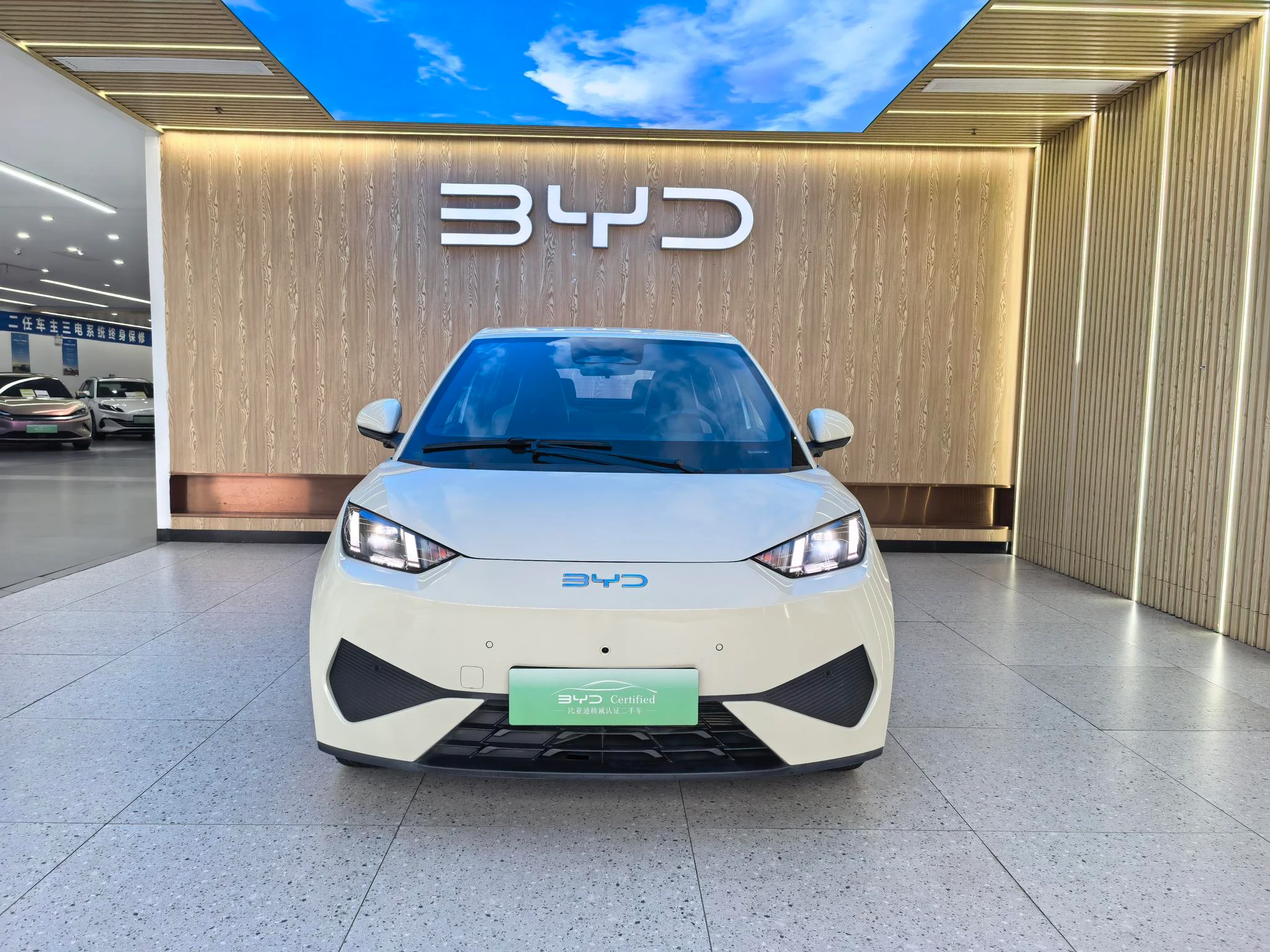 BYD seagull, 2025 — фото 2