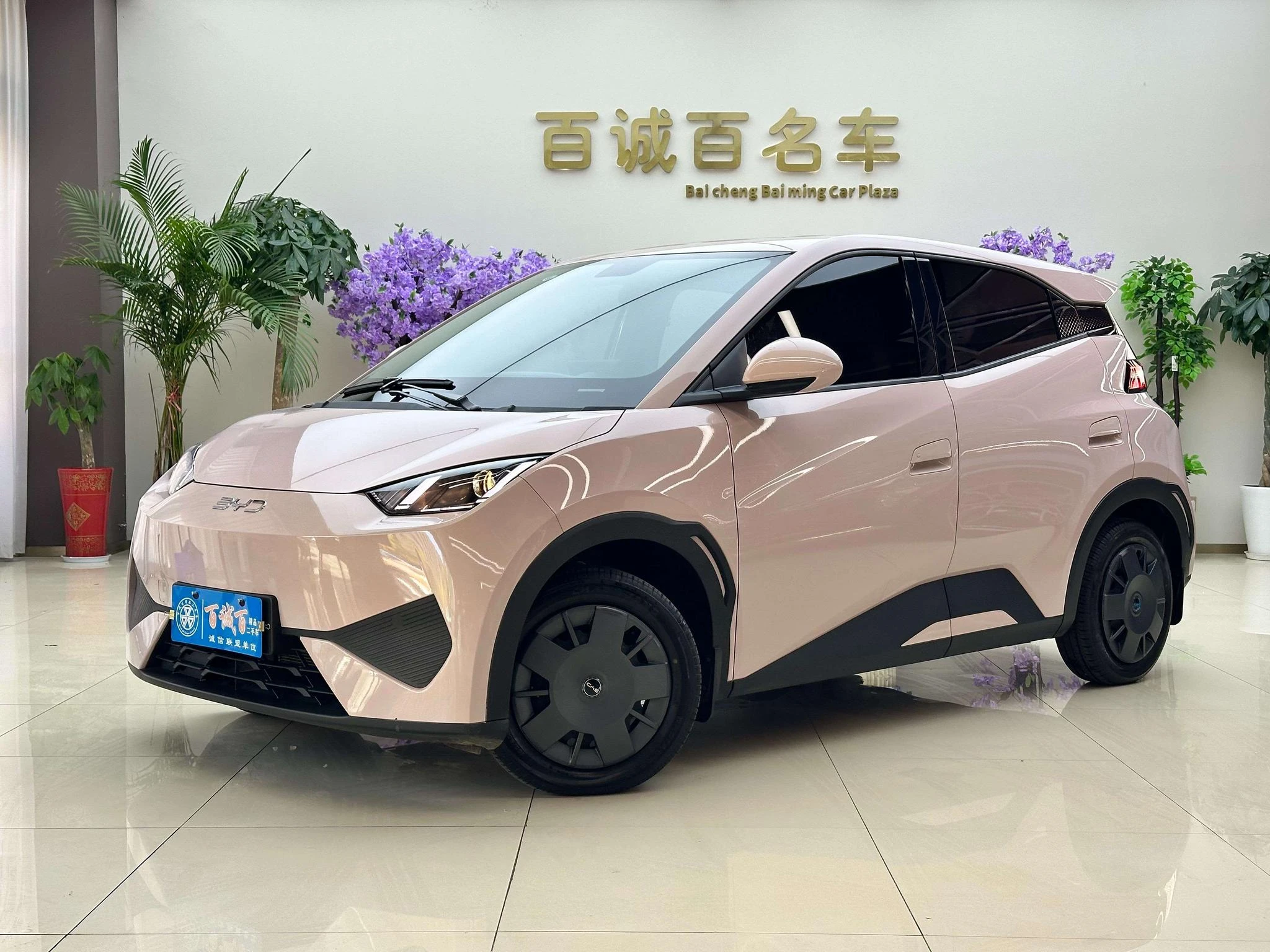 BYD seagull