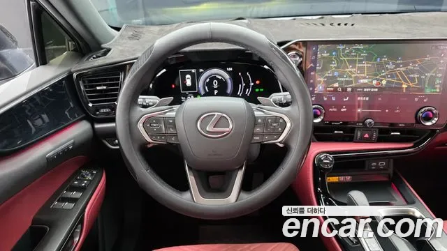 Lexus Nx NX350H, 2025 — фото 13