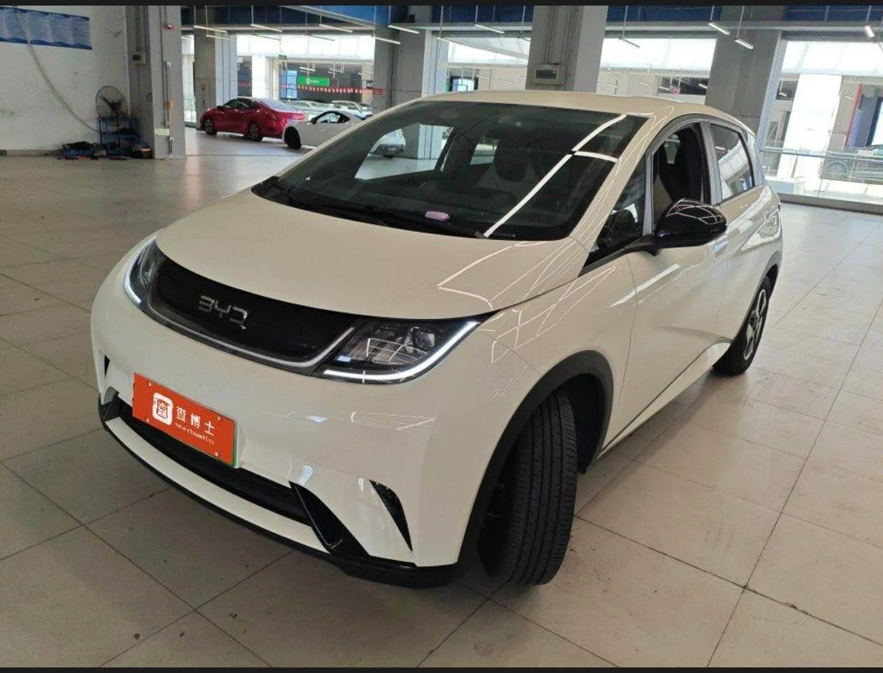 BYD dolphin